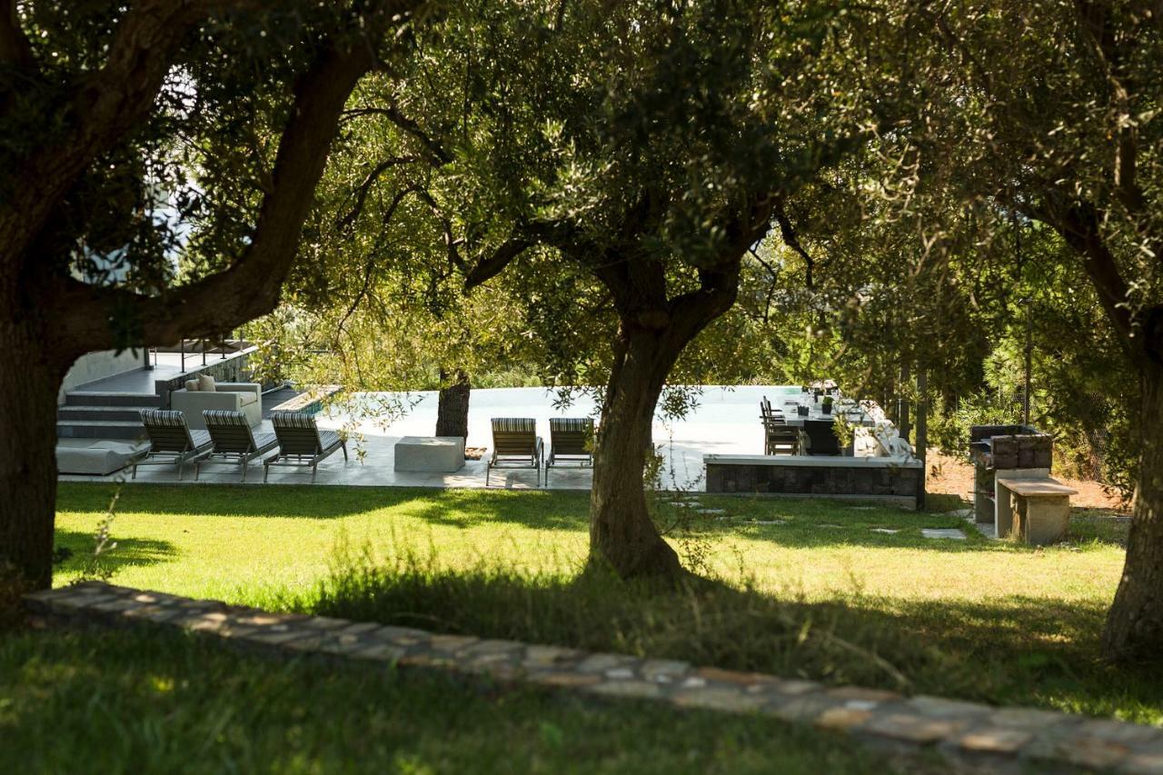Olivia Estate Villa With Private Swimming Pool Elia Nikitis Exterior foto